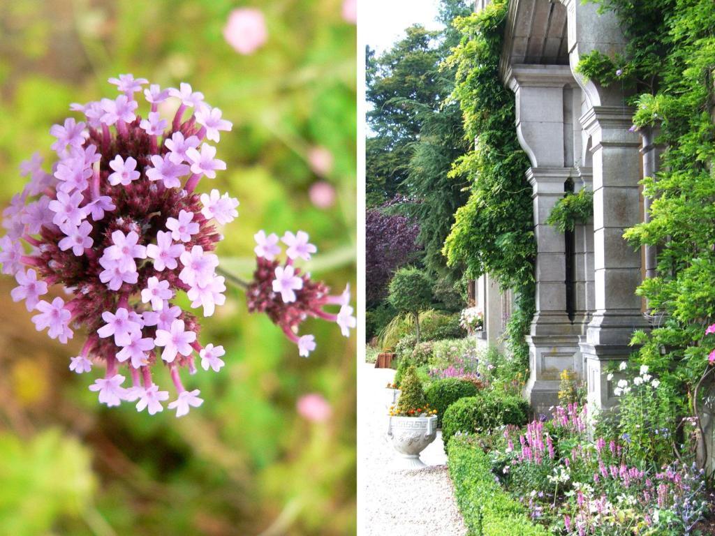 Tinakilly Country House Hotel Rathnew Exterior foto
